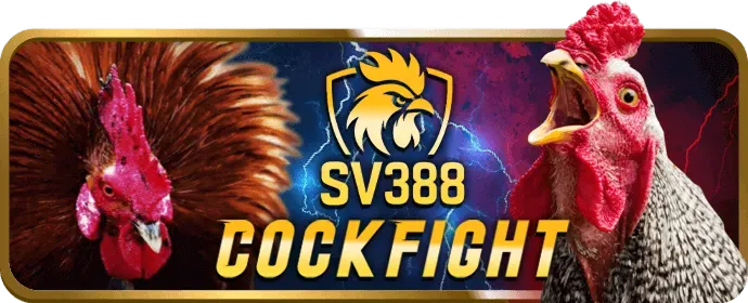 Ưu Đãi Chào Mừng Thành Viên Mới One88o